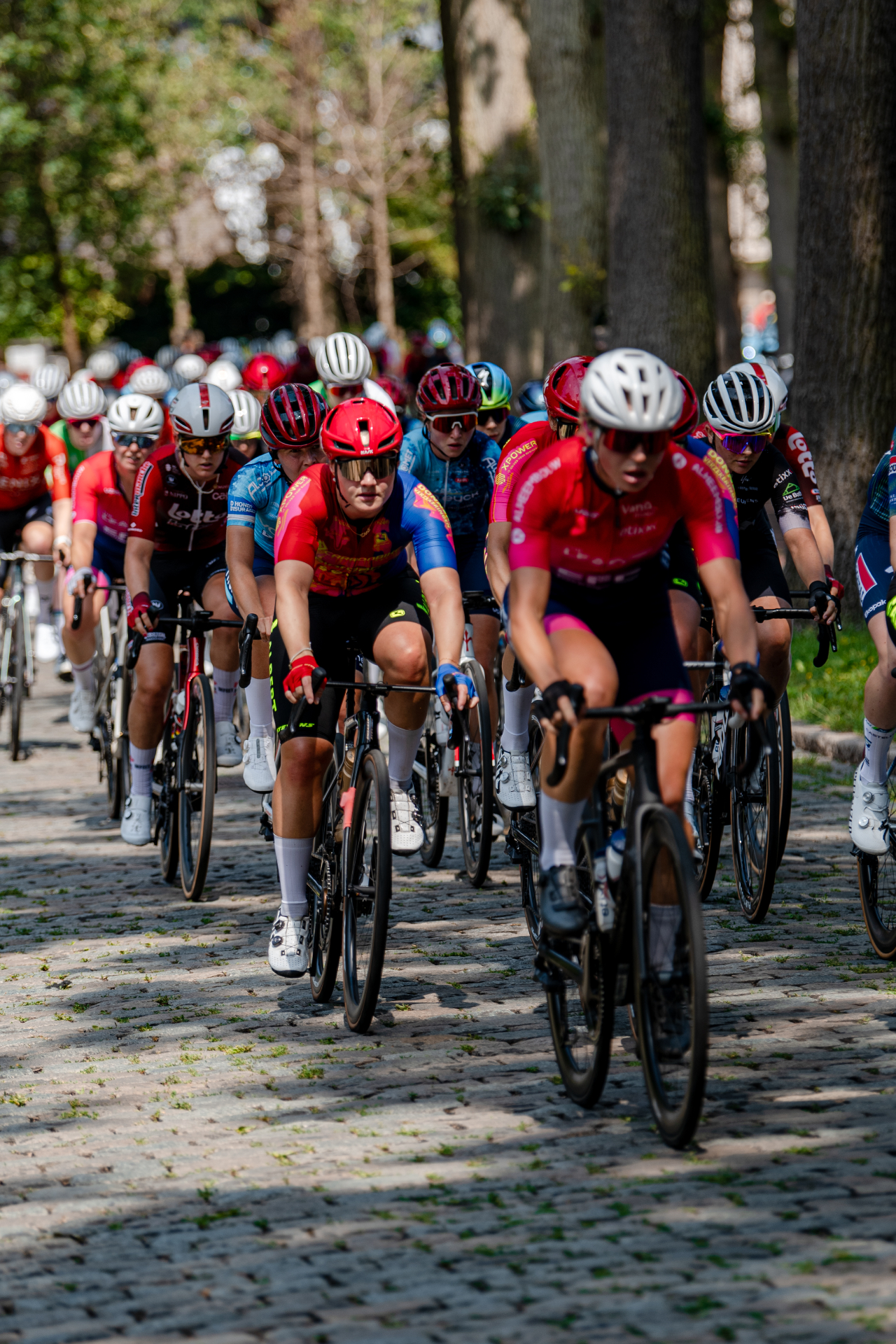 Peloton on cobblestones